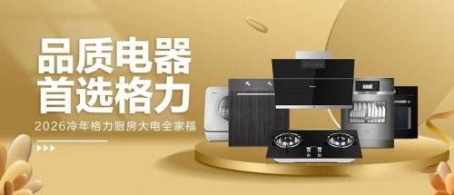 十年：三次关键抉择引爆行业变革瓦力游戏试玩深度解码格力厨电二(图3)